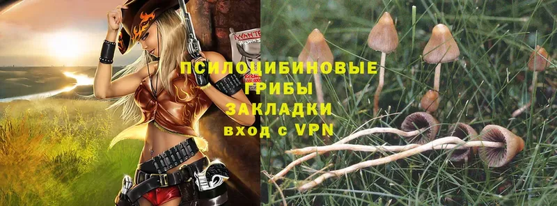 Псилоцибиновые грибы Psilocybe  цена наркотик  Мамоново 